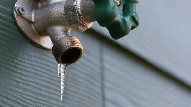 Best Affordable Plumber Near Me  in Walnut Grove, GA